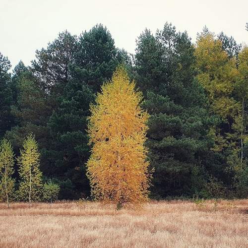 Photo #6751487