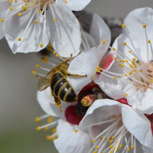 Photo #6751494