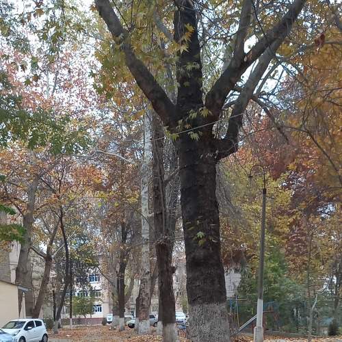 Photo #6751614