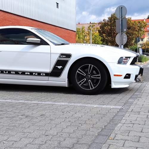 Photo #6751833