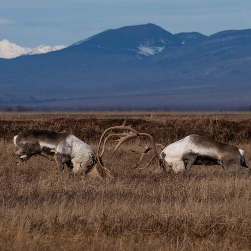 Photo #6751844