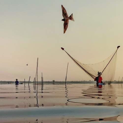 Photo #6751854
