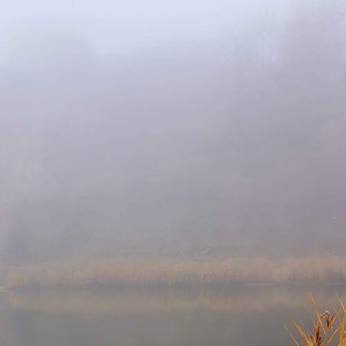 Photo #6751938