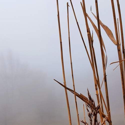 Photo #6751939