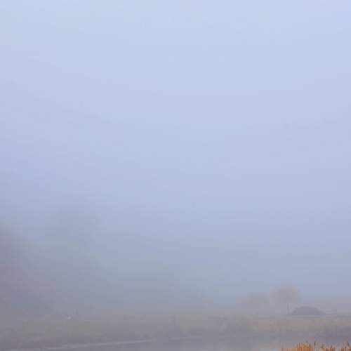 Photo #6751940