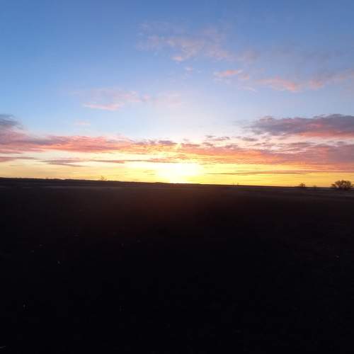 Photo #6752019