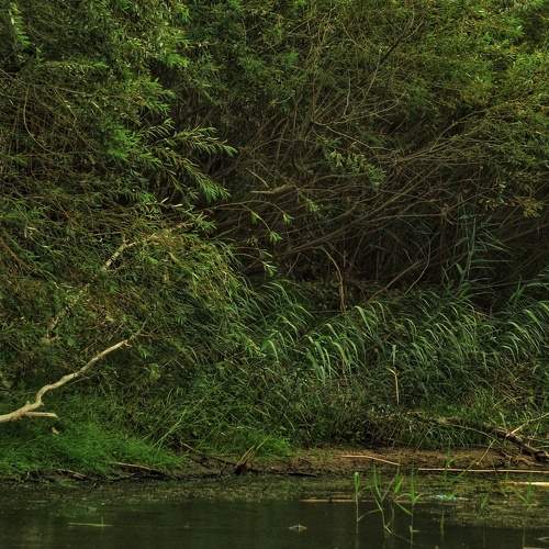 Photo #6752061