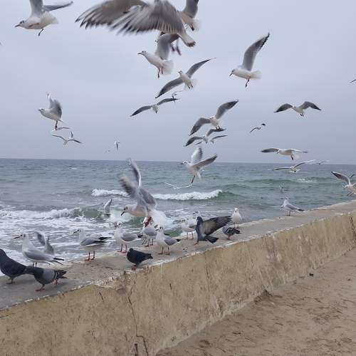 Photo #6752243