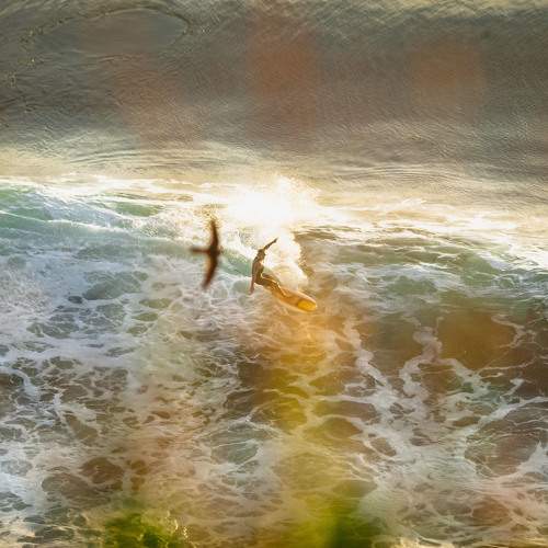 Photo #6752307