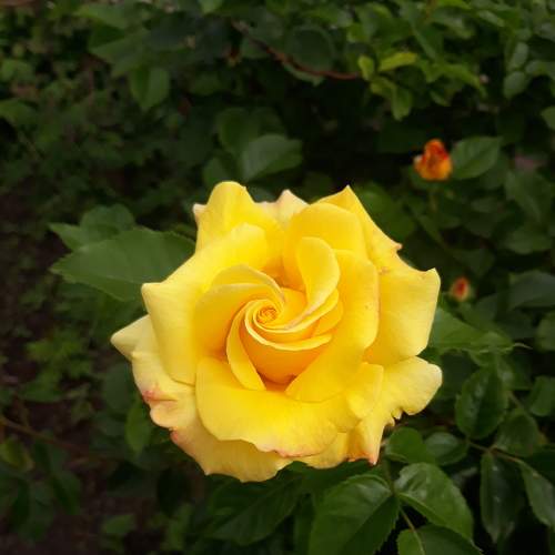 Photo #6752311