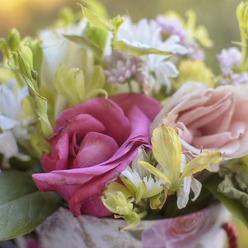 Photo #6752424