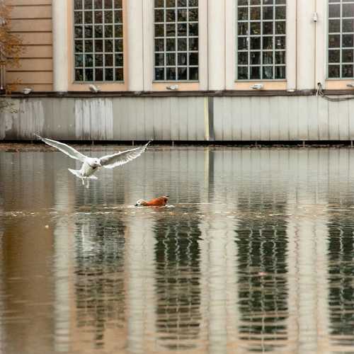 Фотография #6752502