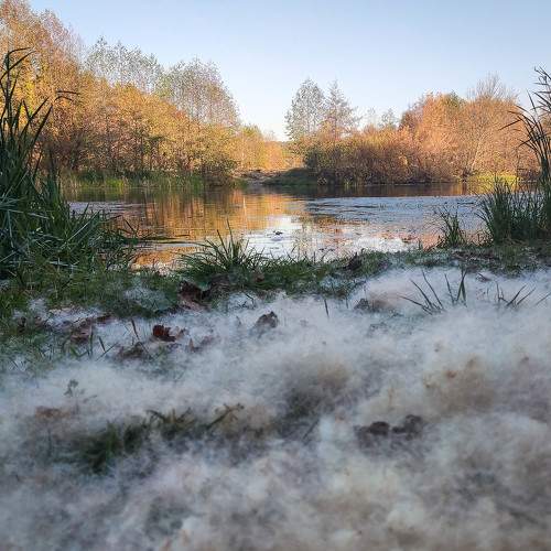 Photo #6752867