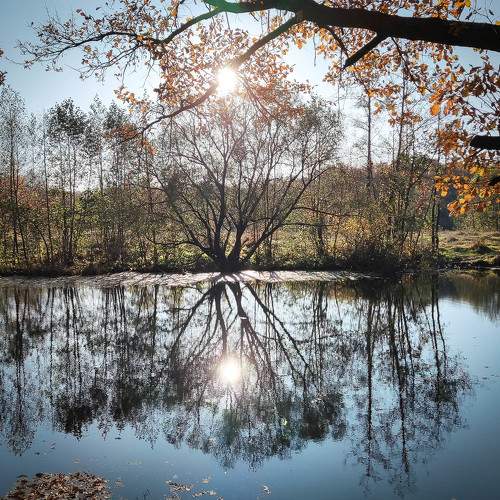 Photo #6752869