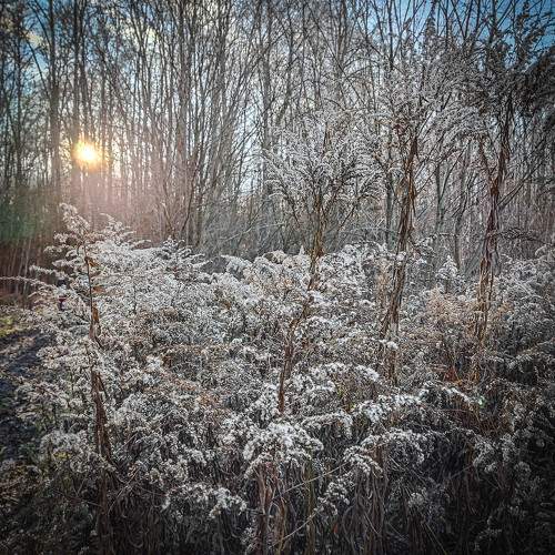 Photo #6752871