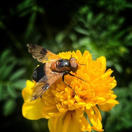 Photo #6753005