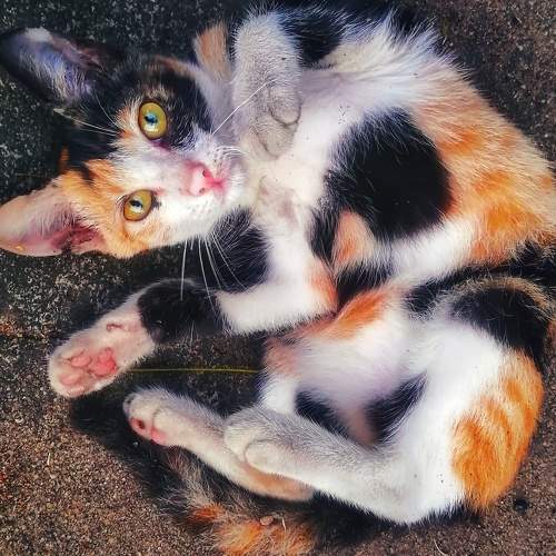 Photo #6753103