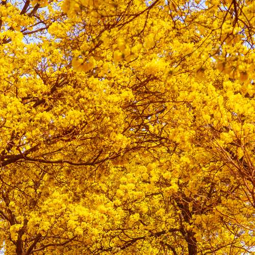 Photo #6753134