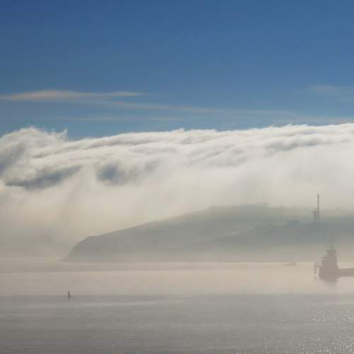 Photo #6753190