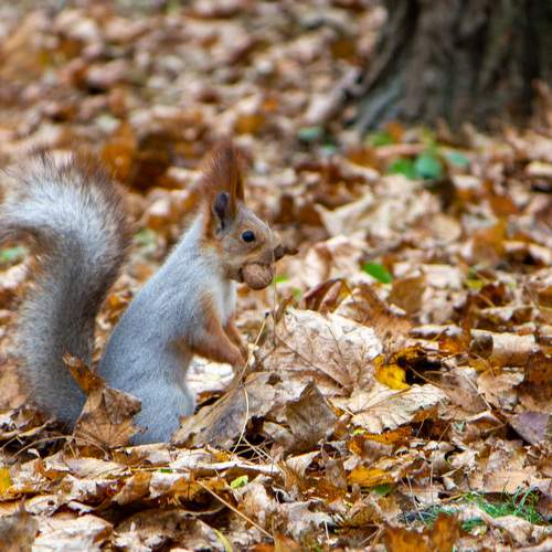 Photo #6753493