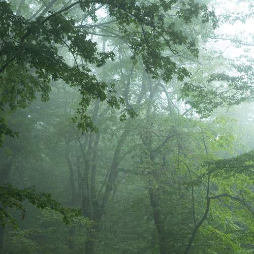 Photo #6753679