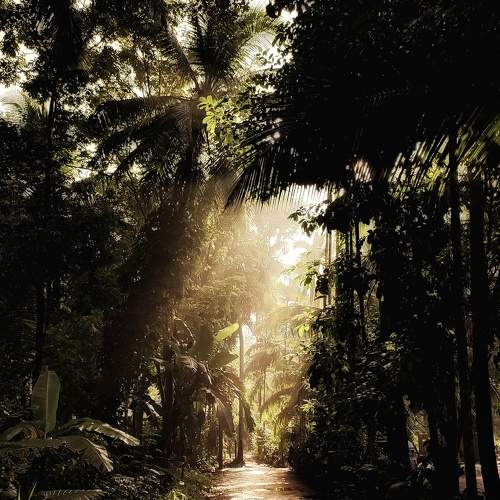 Photo #6753754