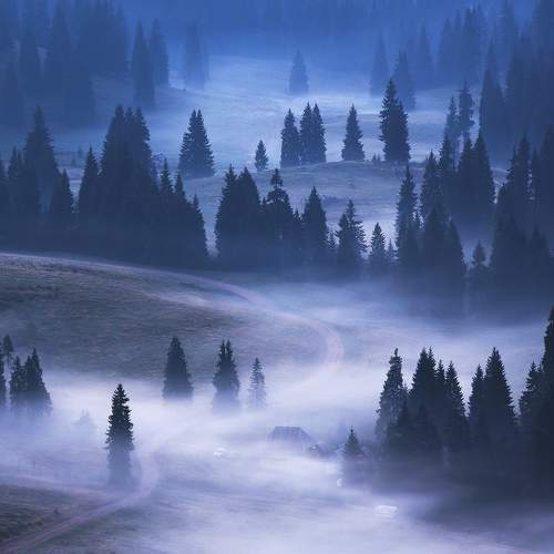 Photo #6753799