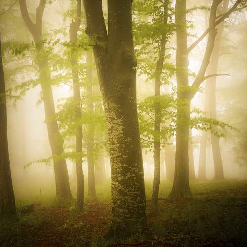 Photo #6753806