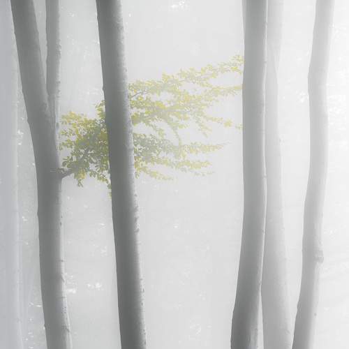Photo #6753817