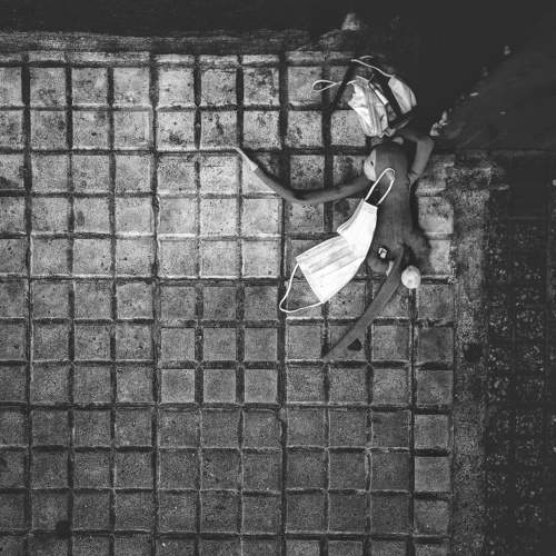 Photo #6754230