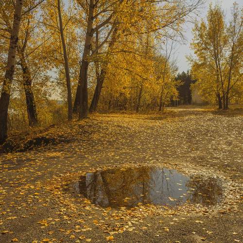 Photo #6754283
