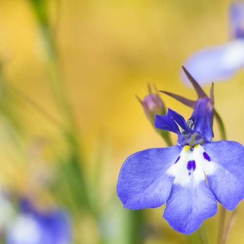 Photo #6754311