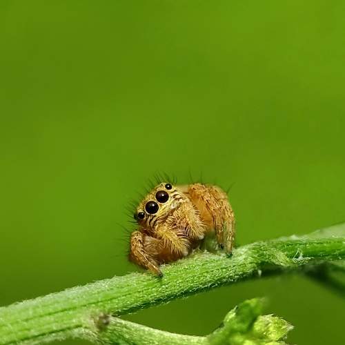 Photo #6754332