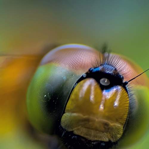 Photo #6754481