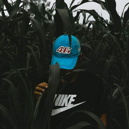 Photo #6754575