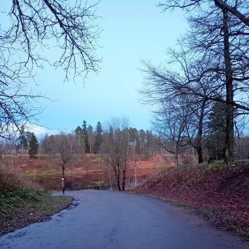Photo #6754585