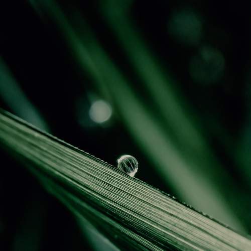 Photo #6754772