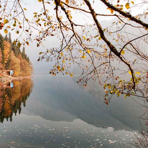 Photo #6754973