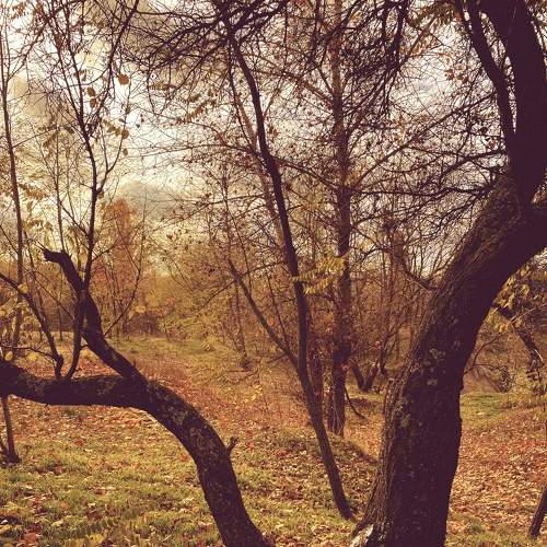 Photo #6755453