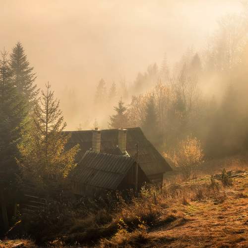 Photo #6755464