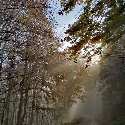 Photo #6755592