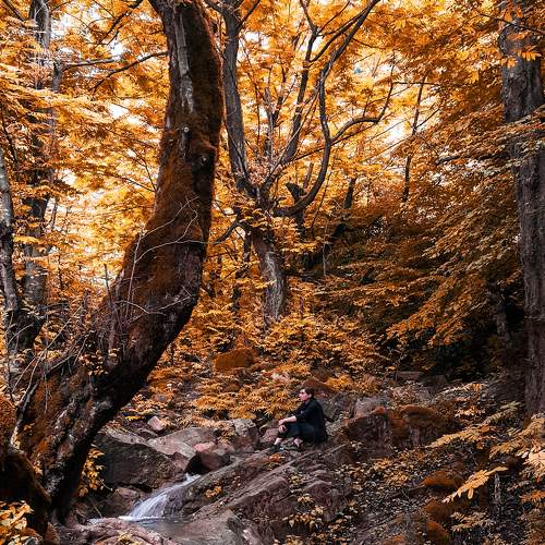 Photo #6755673