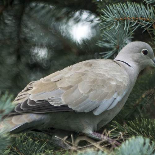 Photo #6755973