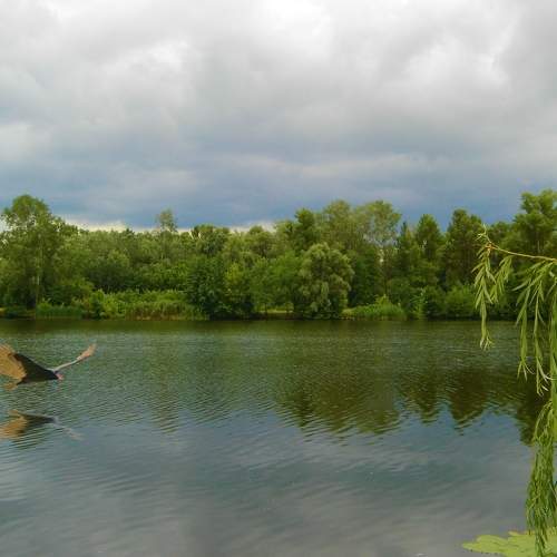 Photo #6756182
