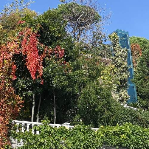 Photo #6756183