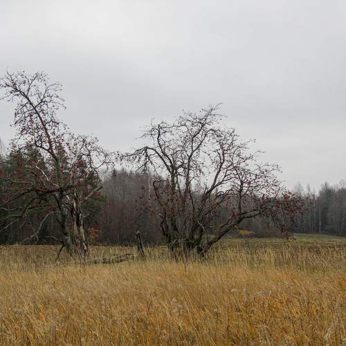 Photo #6756190