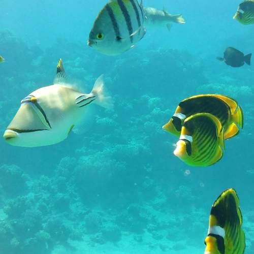 Photo #6756308