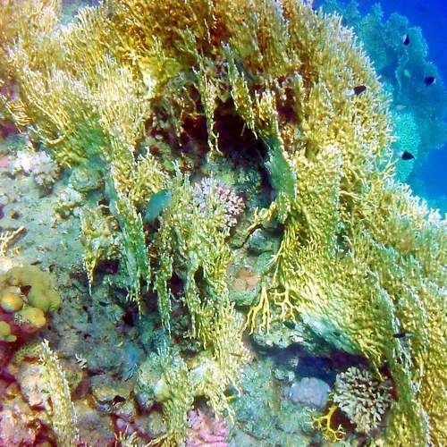 Photo #6756310