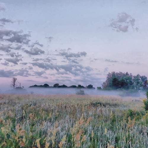 Photo #6756375