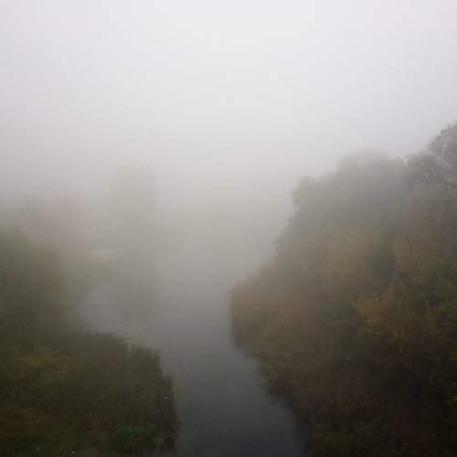 Photo #6756578